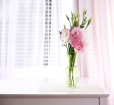 243991762_(1000x667).jpg