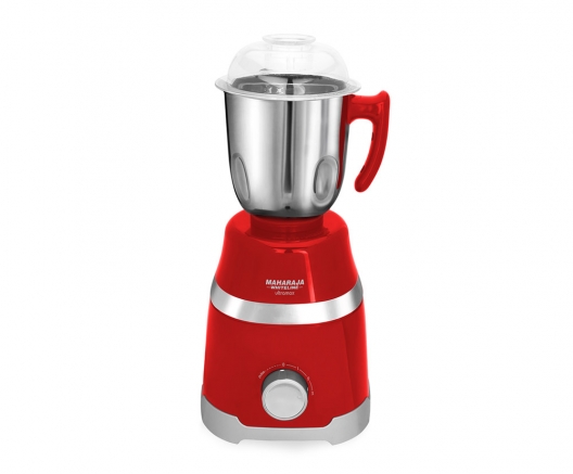 provident mixer grinder price